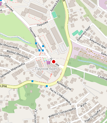 Google Maps