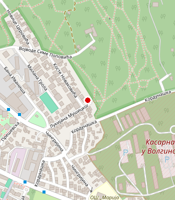 Google Maps