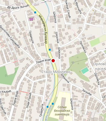 Google Maps