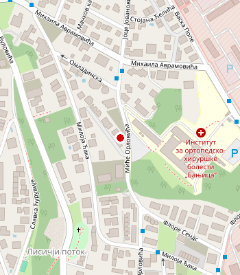 Google Maps