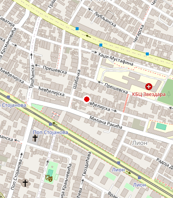 Google Maps