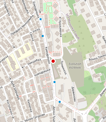 Google Maps