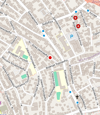 Google Maps