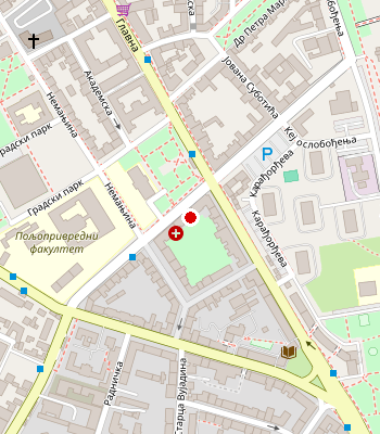 Google Maps