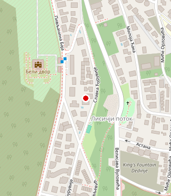 Google Maps