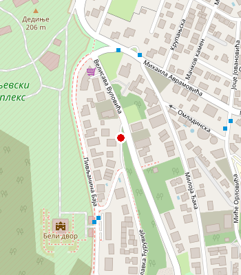 Google Maps