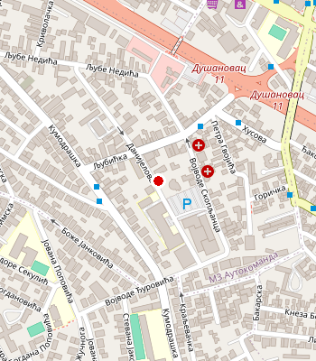 Google Maps