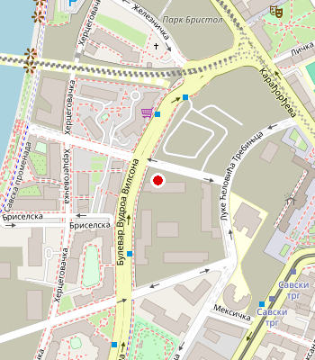 Google Maps