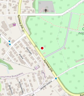 Google Maps