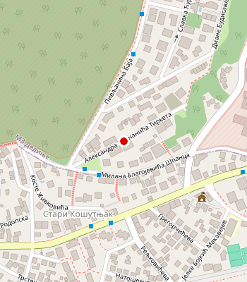 Google Maps