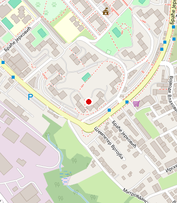 Google Maps