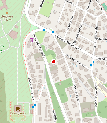 Google Maps
