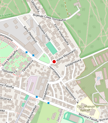 Google Maps
