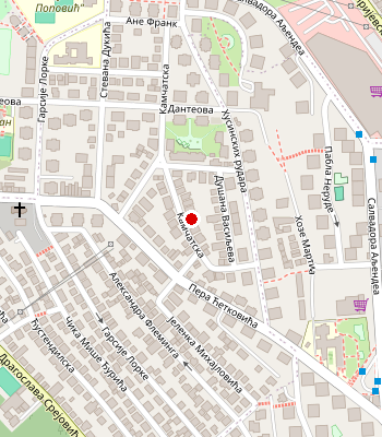 Google Maps