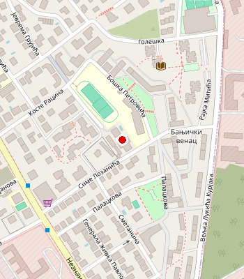 Google Maps