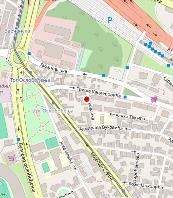 Google Maps