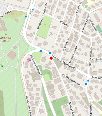 Google Maps