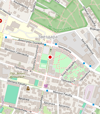 Google Maps