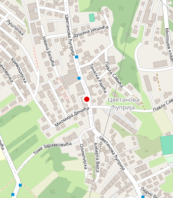 Google Maps