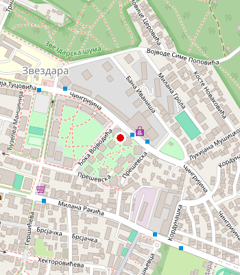 Google Maps