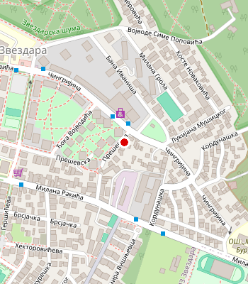 Google Maps