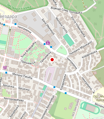 Google Maps