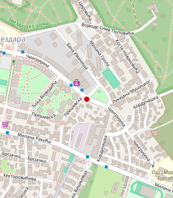 Google Maps
