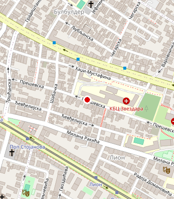 Google Maps