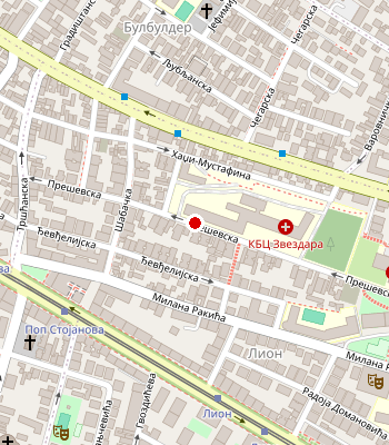 Google Maps