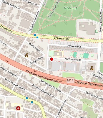 Google Maps