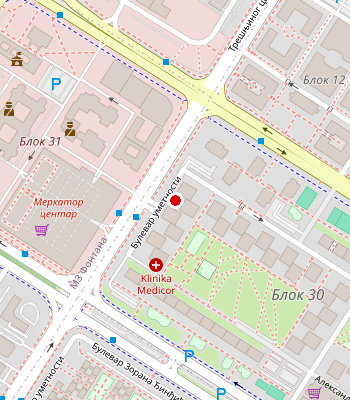 Google Maps