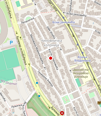 Google Maps
