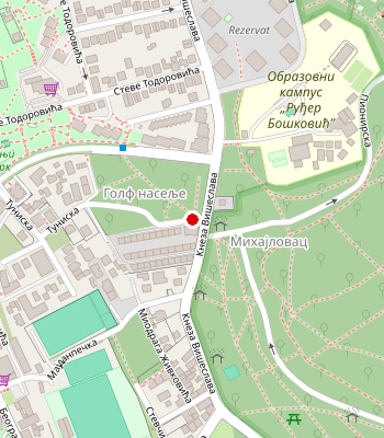 Google Maps