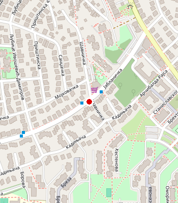 Google Maps