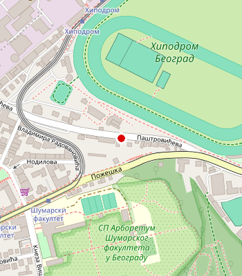 Google Maps