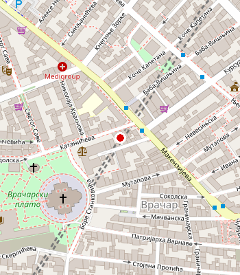 Google Maps