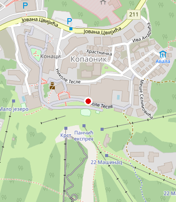 Google Maps