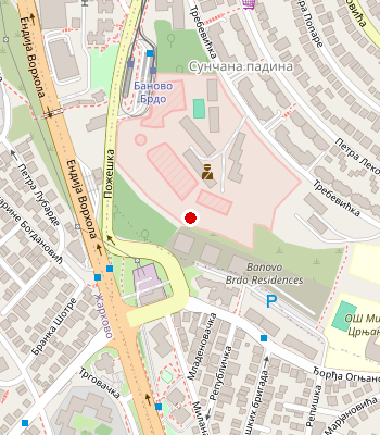Google Maps