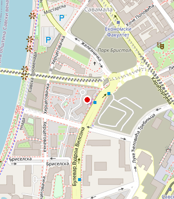 Google Maps