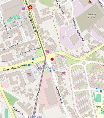 Google Maps
