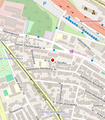 Google Maps