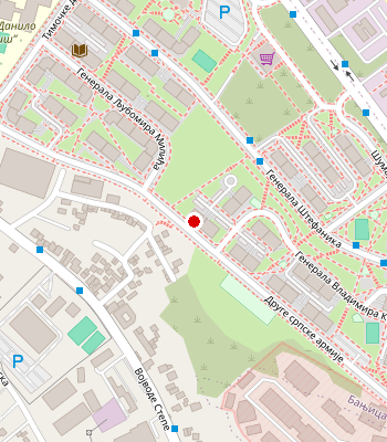 Google Maps