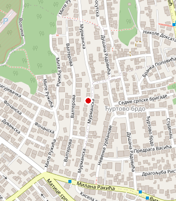 Google Maps