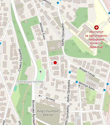 Google Maps