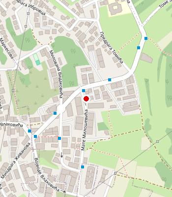 Google Maps