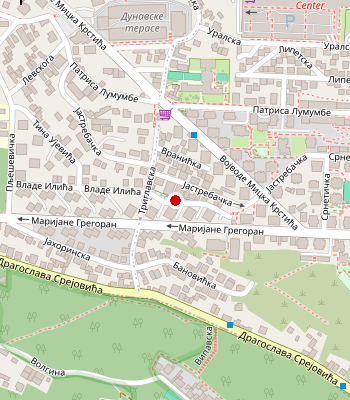 Google Maps