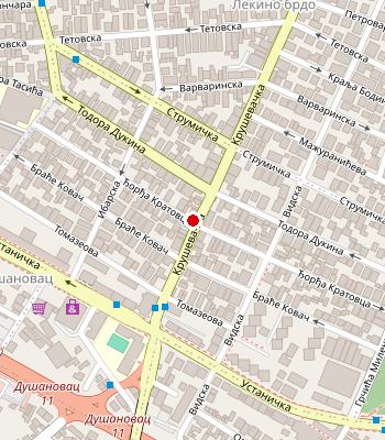 Google Maps